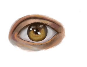 Painted Eye